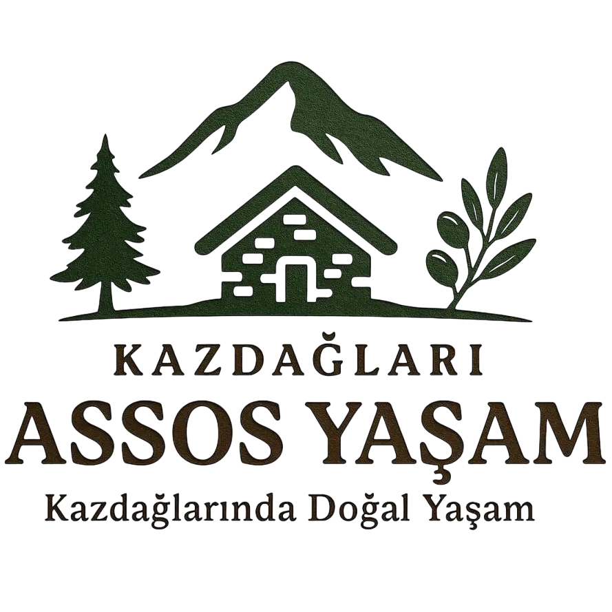 Assos Yaşam Logo